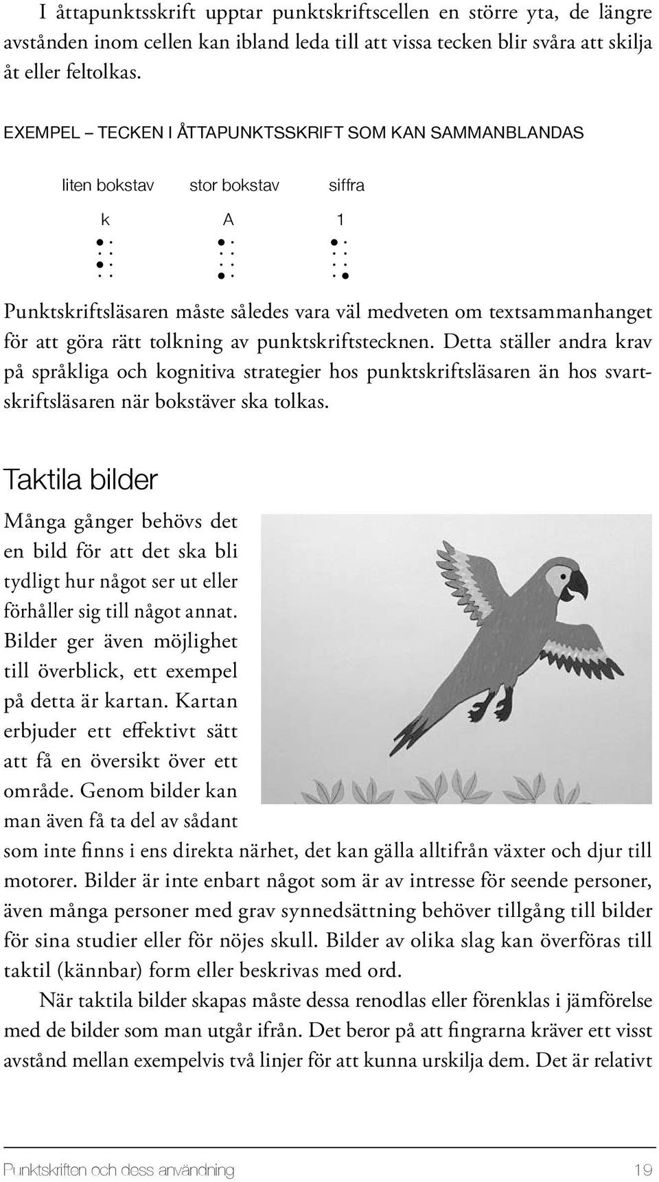punktskriftstecknen. Detta ställer andra krav på språkliga och kognitiva strategier hos punktskriftsläsaren än hos svartskriftsläsaren när bokstäver ska tolkas.