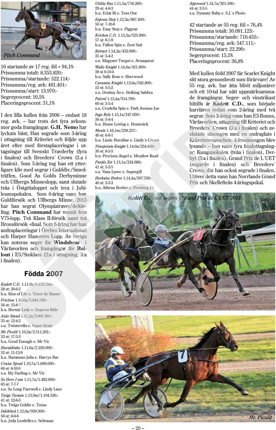 Nemo har lyckats bäst; Han segrade som 3-åring i uttagning till Kriteriet och följde upp året efter med förstaplaceringar i uttagningar till Svenskt Travderby (fyra i finalen) och Breeders Crown (3.