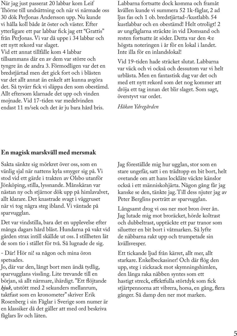 Vid ett annat tillfälle kom 4 labbar tillsammans där en av dem var större och tyngre än de andra 3.
