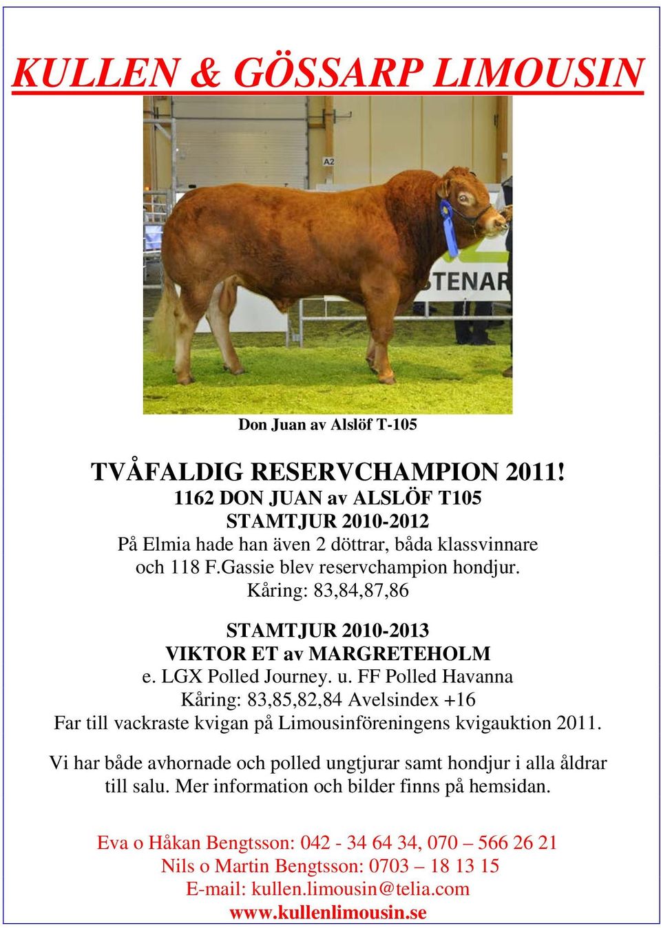 Kåring: 83,84,87,86 STAMTJUR 2010-2013 VIKTOR ET av MARGRETEHOLM e. LGX Polled Journey. u.