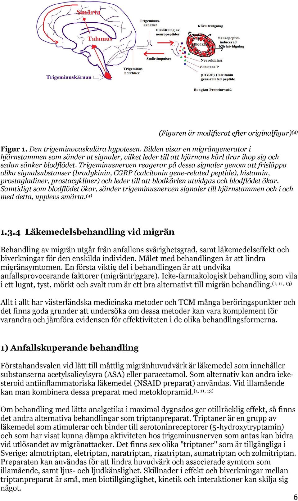 Trigeminusnerven reagerar på dessa signaler genom att frisläppa olika signalsubstanser (bradykinin, CGRP (calcitonin gene-related peptide), histamin, prostagladiner, prostacykliner) och leder till