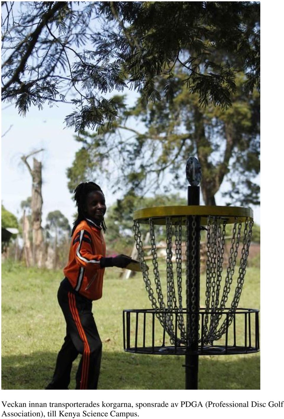 (Professional Disc Golf