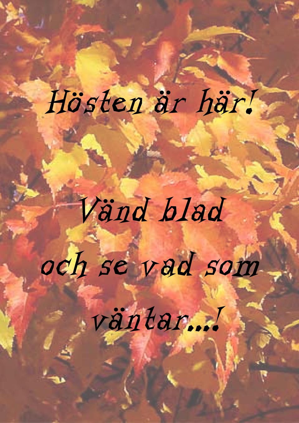blad och se