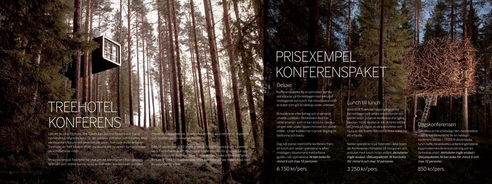 En konferens på Treehotel handlar om att komma bort från vardagsstressen och istället kunna njuta av stillheten, arkitekturen, naturen, maten och aktiviteterna.