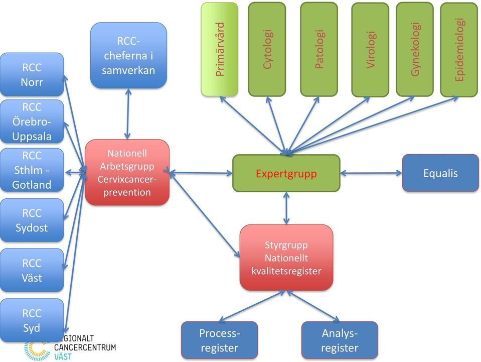 Arbetsgrupp Cervixcancerprevention Expertgrupp Equalis RCC Sydost RCC Väst