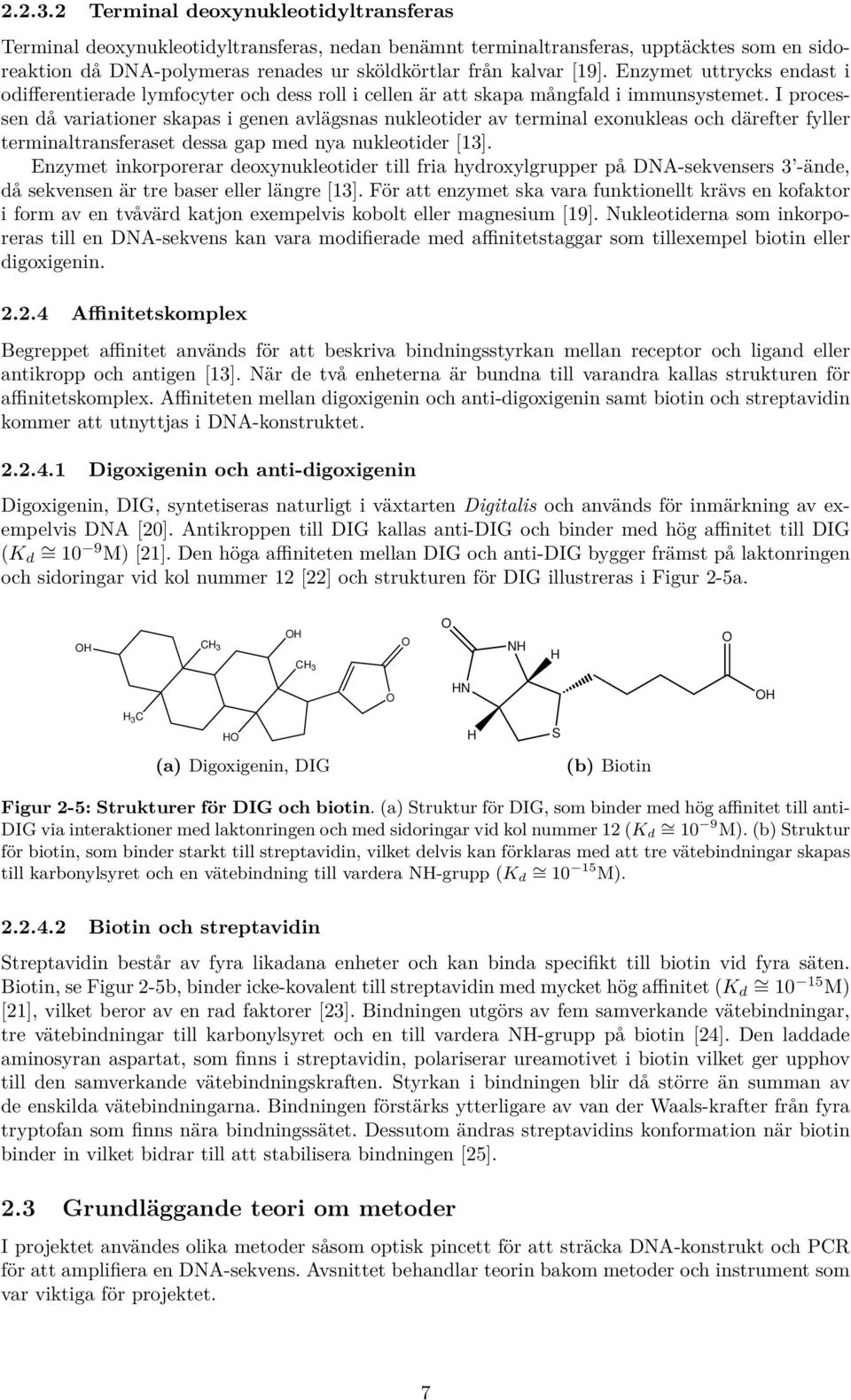 Enzymet uttrycks endast i odifferentierade lymfocyter och dess roll i cellen är att skapa mångfald i immunsystemet.