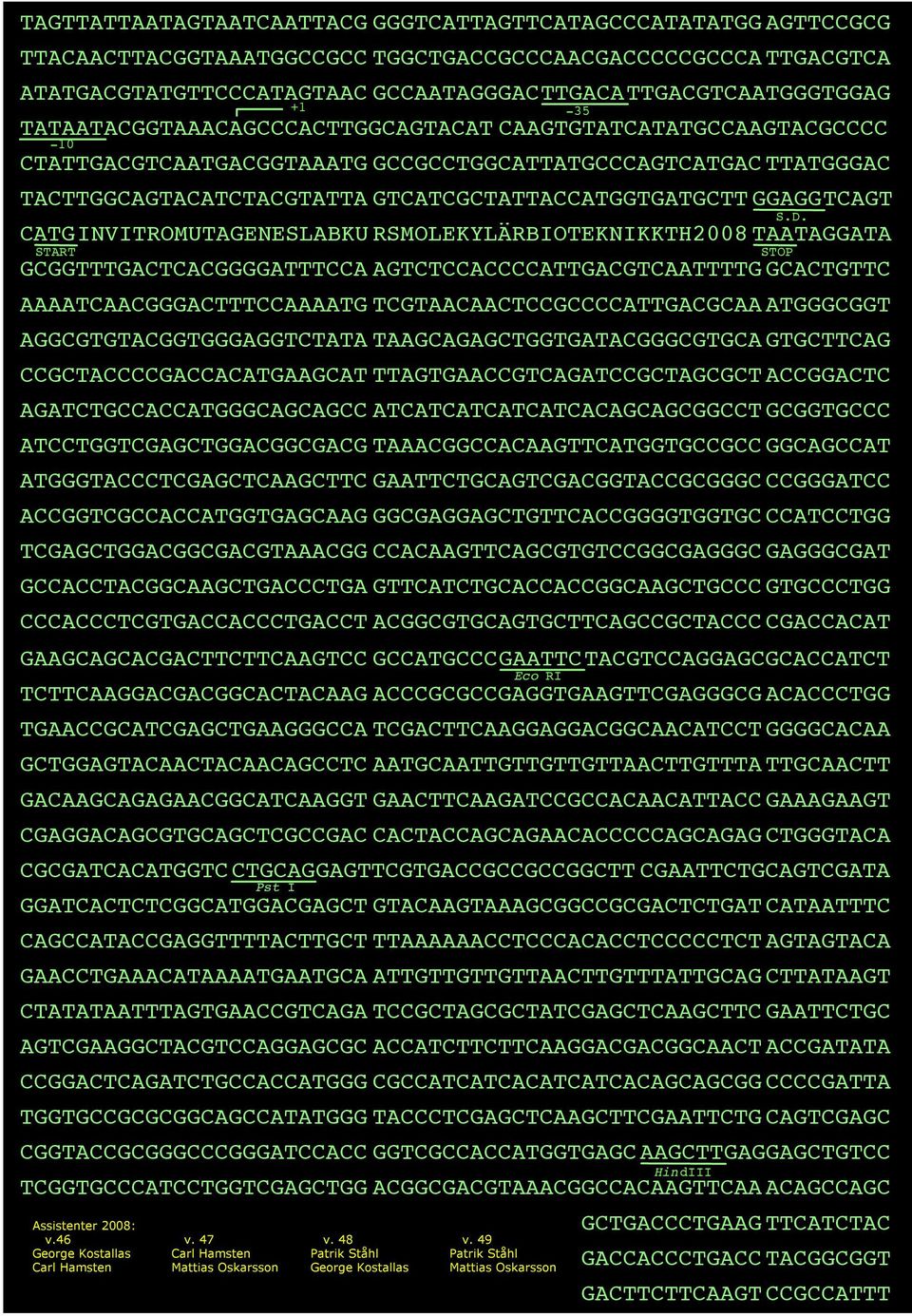 C ATG INVITROMUTAGENESLABKU RSMOLEKYLÄRBIOTEKNIKKTH2008 TAA TAGGATA START GCGGTTTGACTCACGGGGATTTCCA AGTCTCCACCCCATTGACGTCAATTTTG GCACTGTTC AAAATCAACGGGACTTTCCAAAATG TCGTAACAACTCCGCCCCATTGACGCAA