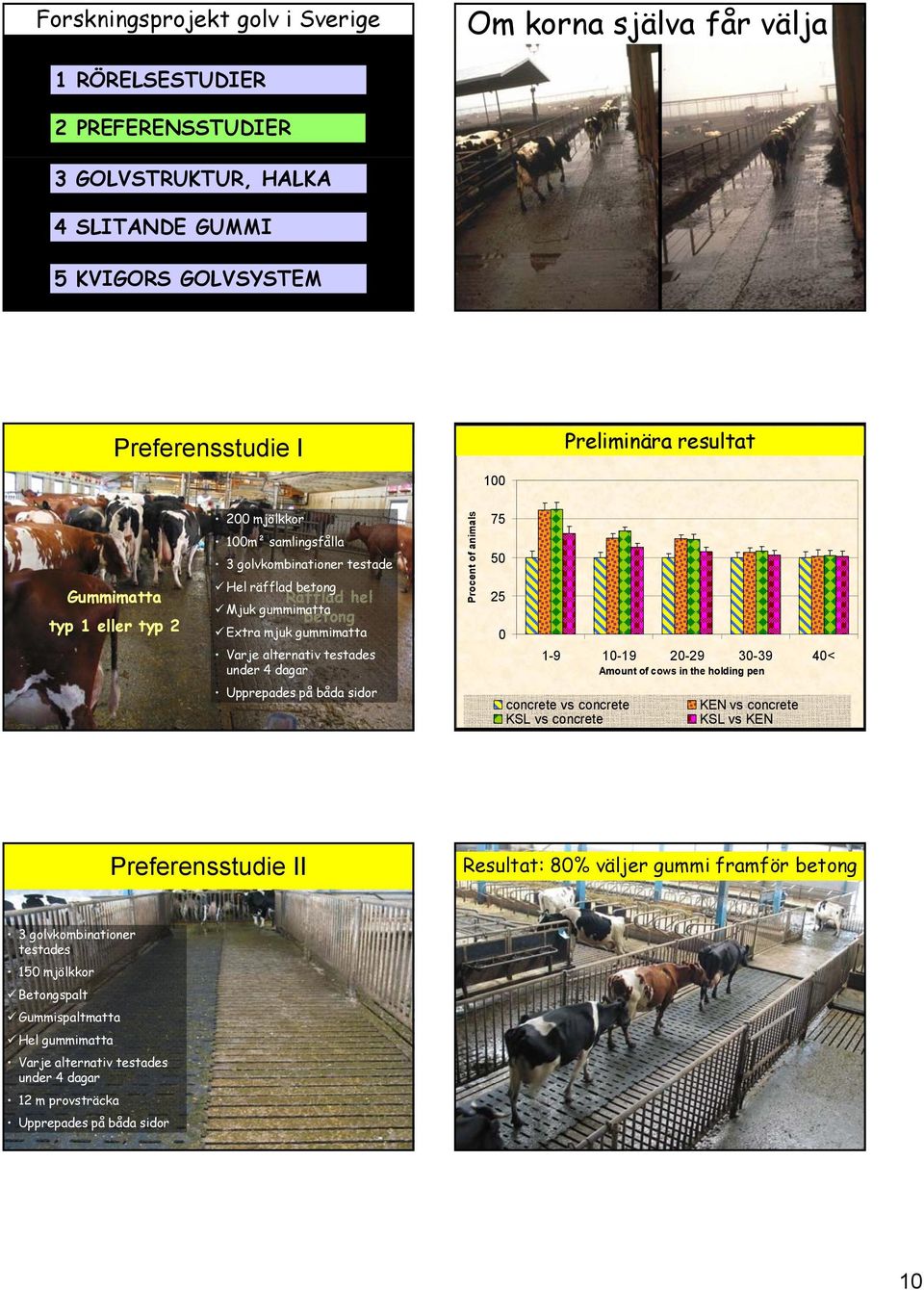 mjuk gummimatta Räfflad hel Mjuk gummimatta betong Extra mjuk gummimatta Varje alternativ testades under 4 dagar ent of animals Proce 75 50 25 0 1-9 10-19 20-29 30-39 40< Amount of cows in the