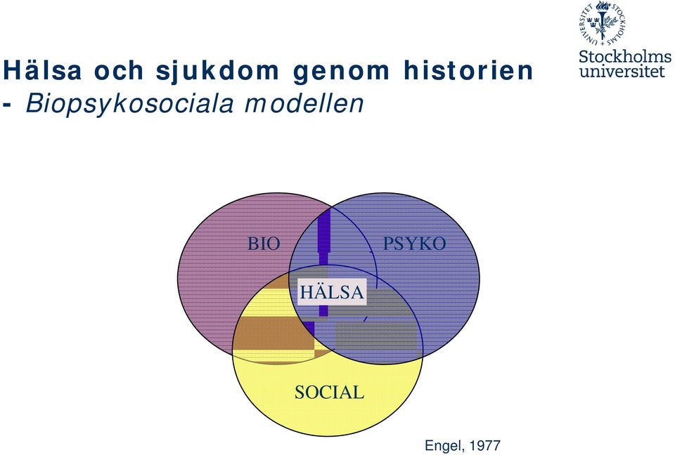 Biopsykosociala