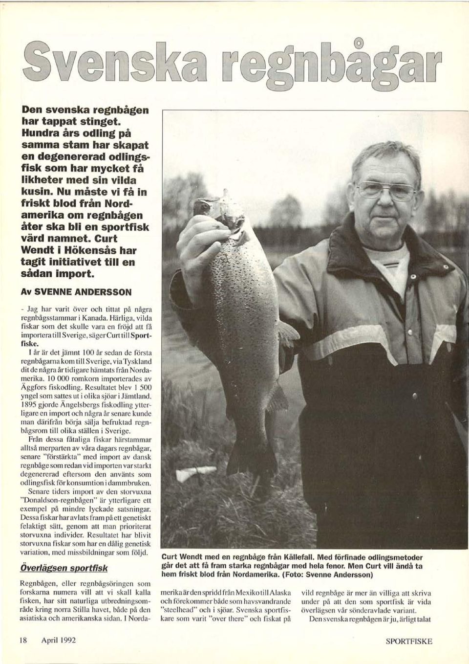 Av SVENNE ANDERSSON - Jag har varit över och tittat på några regnbågsstammar i Kanada. Härliga, vilda fiskar som det skulle vara en fröjd att få importera till Sverige, sägercurt till Sportfiske.