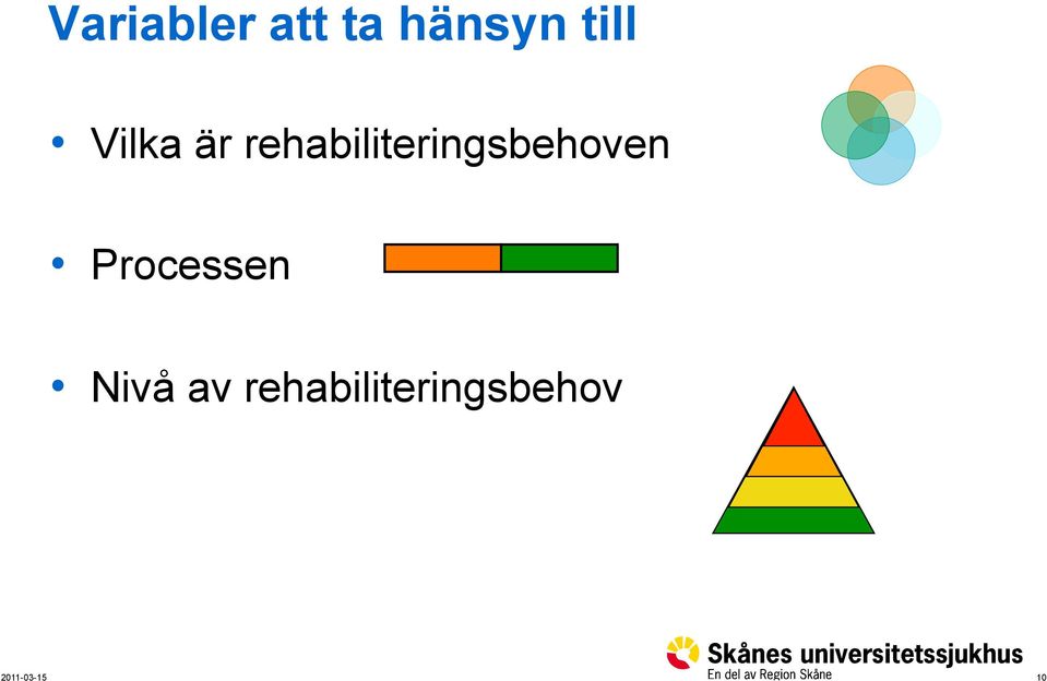 rehabiliteringsbehoven