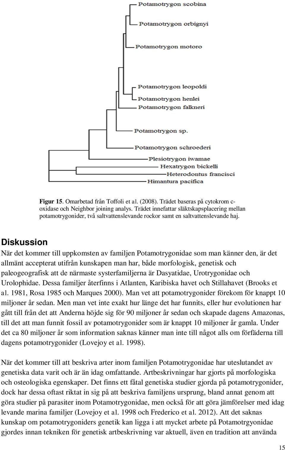 Diskussion När det kommer till uppkomsten av familjen idae som man känner den, är det allmänt accepterat utifrån kunskapen man har, både morfologisk, genetisk paleogeografisk att de närmaste