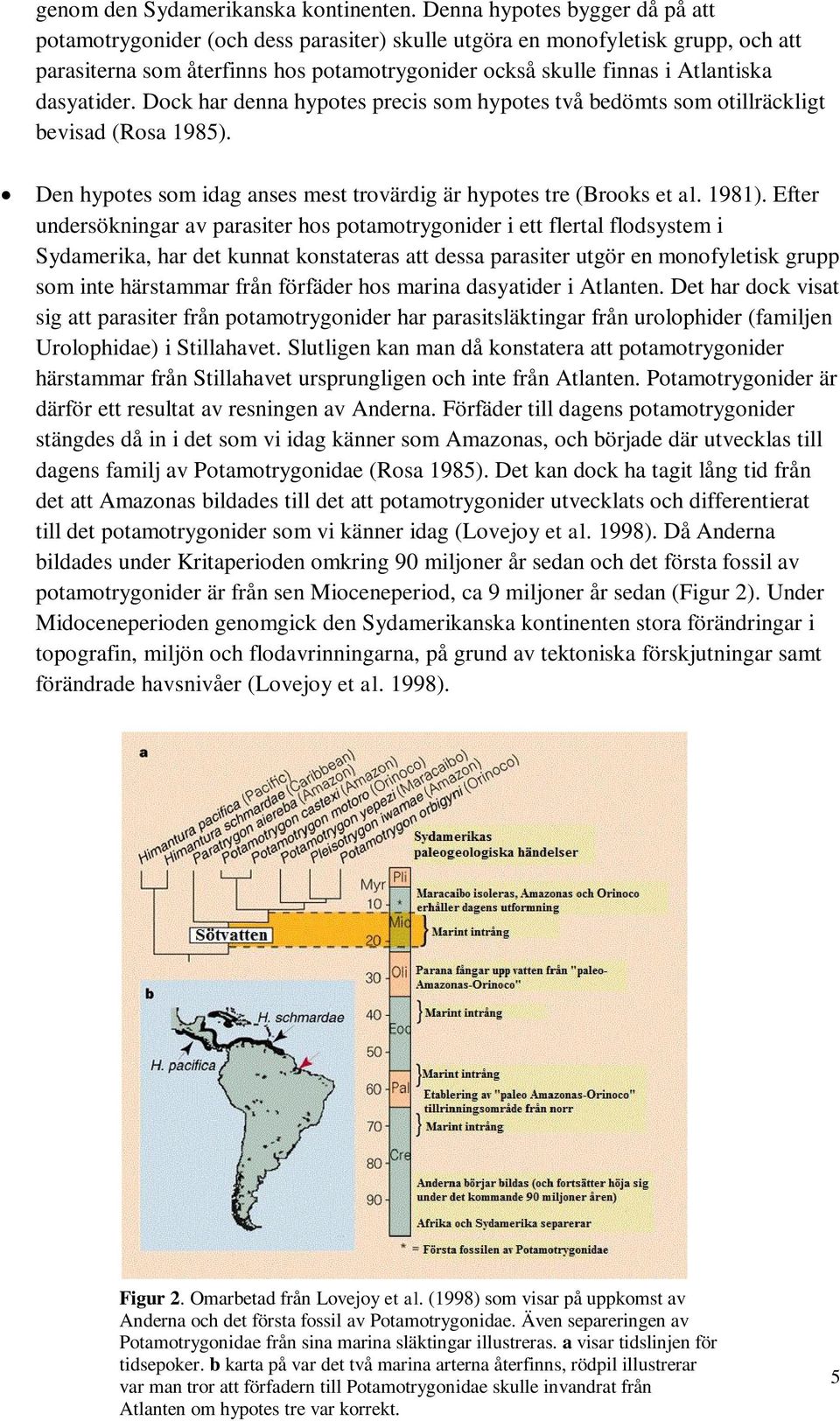 Dock har denna hypotes precis som hypotes två bedömts som otillräckligt bevisad (Rosa 1985). Den hypotes som idag anses mest trovärdig är hypotes tre (Brooks et al. 1981).