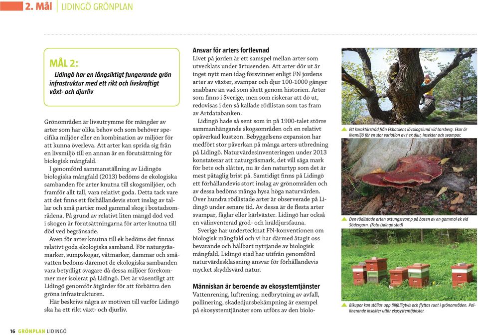 I genomförd sammanställning av Lidingös biologiska mångfald (2013) bedöms de ekologiska sambanden för arter knutna till skogsmiljöer, och framför allt tall, vara relativt goda.