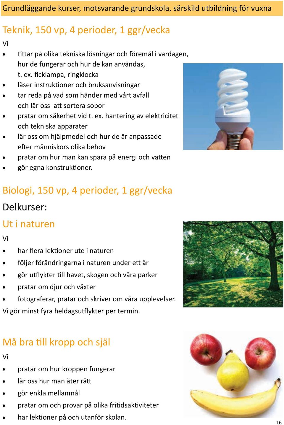 ficklampa, ringklocka läser instruktioner och bruksanvisningar tar reda på vad som händer med vårt avfall och lär oss att sortera sopor pratar om säkerhet vid t. ex.