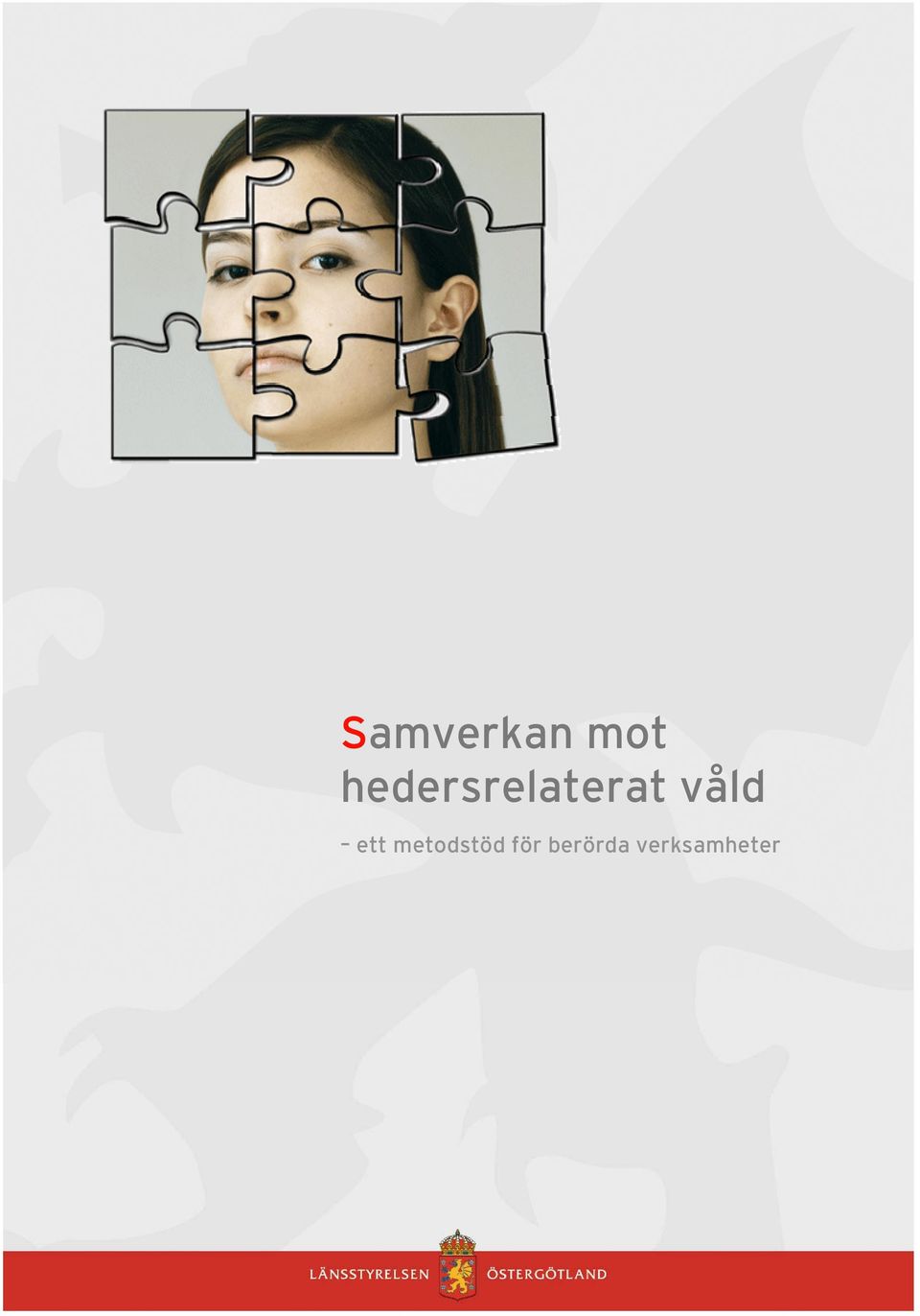 våld ett metodstöd