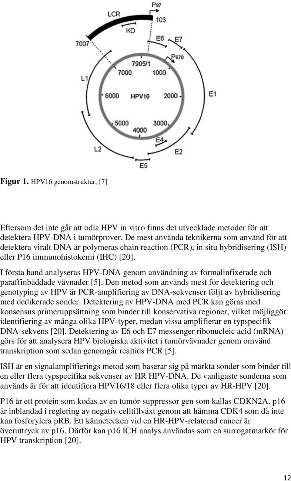 I första hand analyseras HPV-DNA genom användning av formalinfixerade och paraffinbäddade vävnader [5].