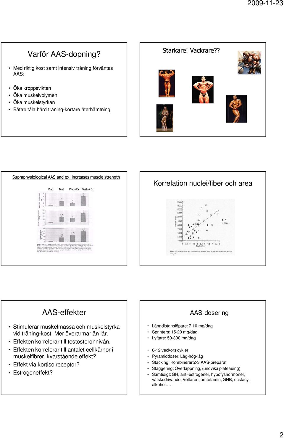 increases muscle strength Plac Test Plac+Ex Testo+Ex Korrelation nuclei/fiber och area AAS-effekter Stimulerar muskelmassa och muskelstyrka vid träning-kost. Mer överarmar än lår.