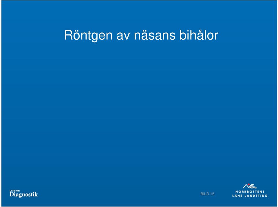 bihålor