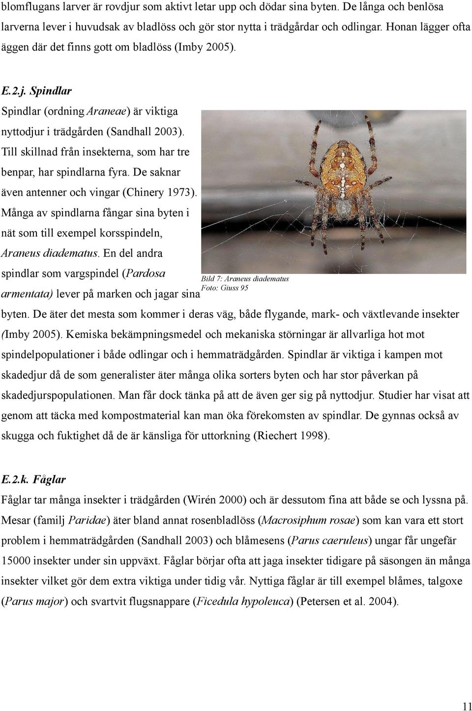 Till skillnad från insekterna, som har tre benpar, har spindlarna fyra. De saknar även antenner och vingar (Chinery 1973).