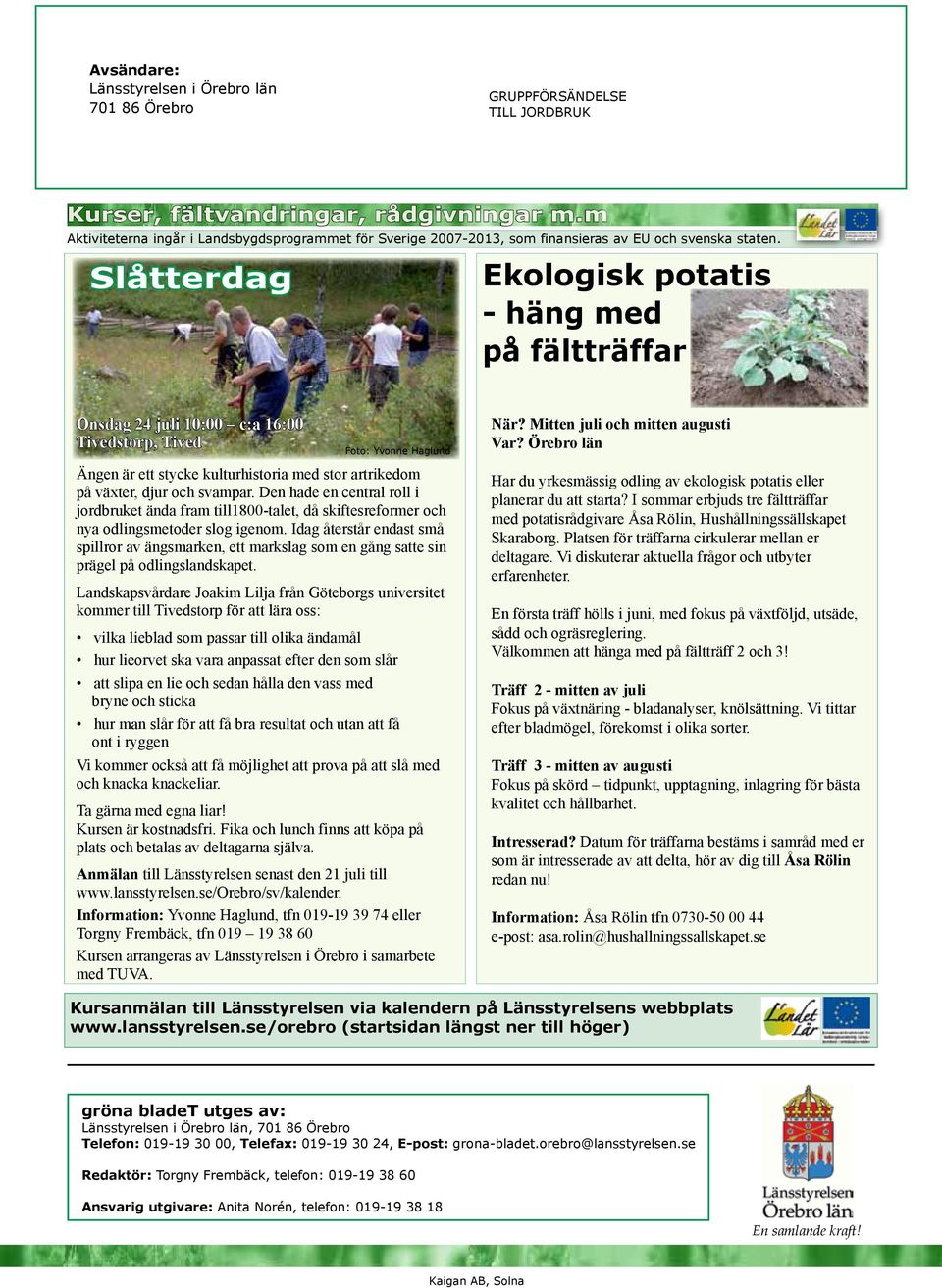 Slåtterdag Ekologisk potatis - häng med på fältträffar Onsdag 24 juli 10:00 c:a 16:00 Tivedstorp, Tived Foto: Yvonne Haglund Ängen är ett stycke kulturhistoria med stor artrikedom på växter, djur och