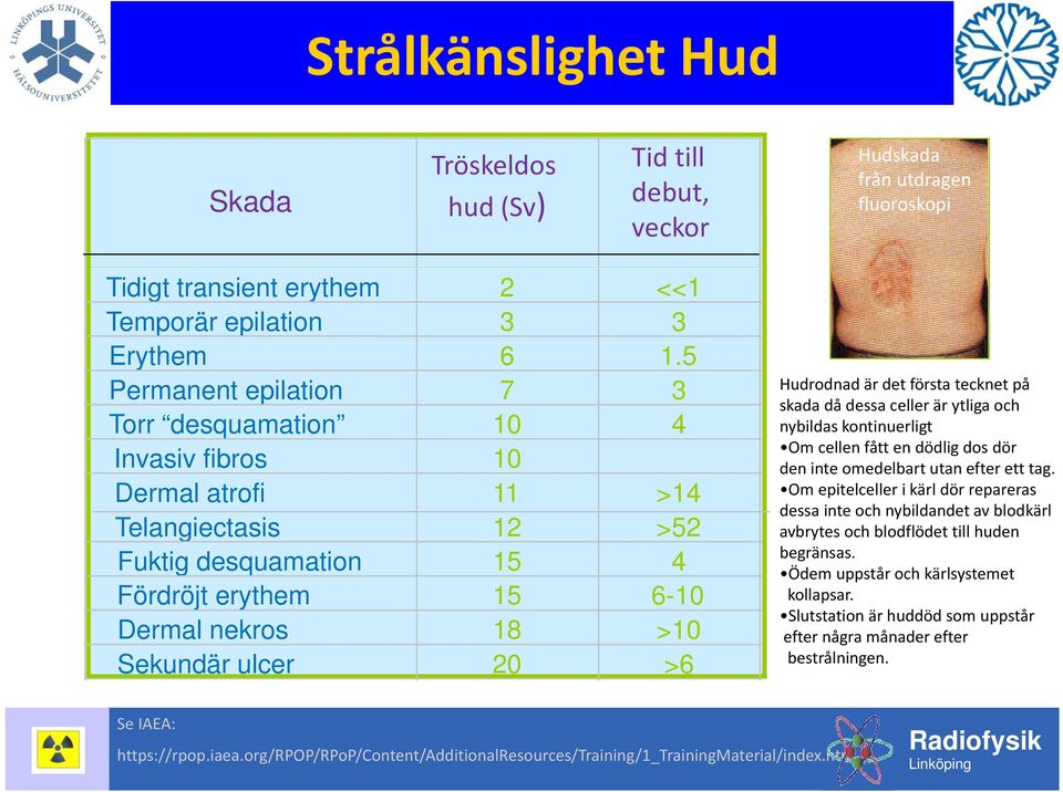 >6 Hudrodnad är det första tecknet på skada då dessa celler är ytliga och nybildas kontinuerligt Om cellen fått en dödlig dos dör den inte omedelbart utan efter ett tag.