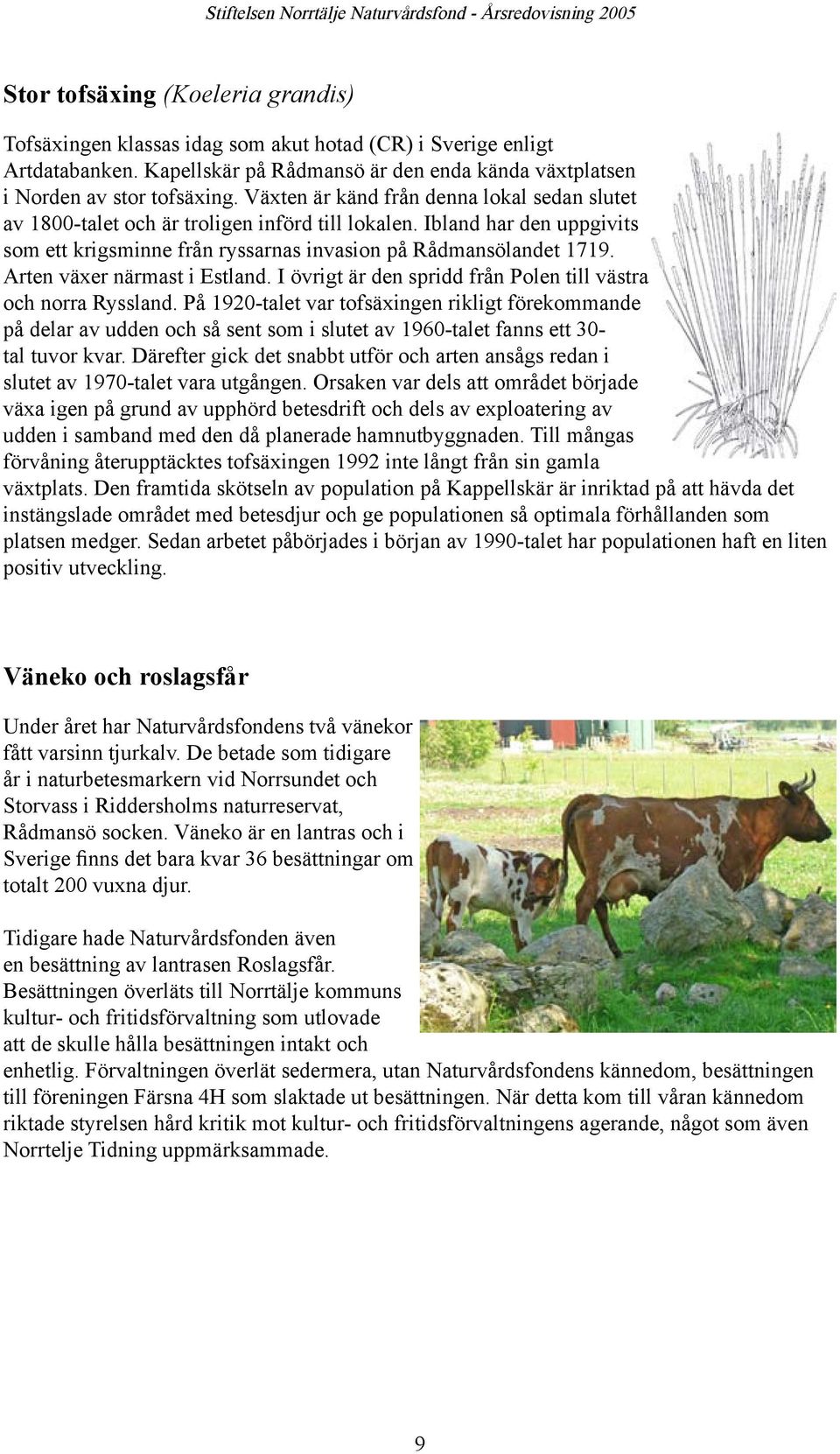 Arten växer närmast i Estland. I övrigt är den spridd från Polen till västra och norra Ryssland.