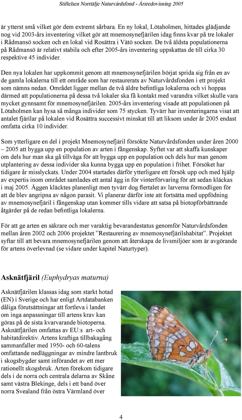De två äldsta populationerna på Rådmansö är relativt stabila och efter 2005-års inventering uppskattas de till cirka 30 respektive 45 individer.