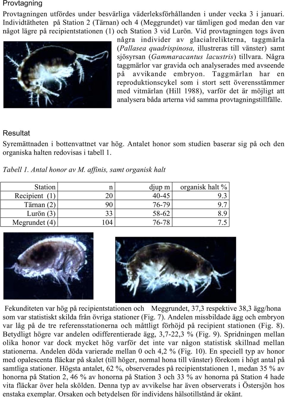 Vid provtagningen togs även några individer av glacialrelikterna, taggmärla (Pallasea quadrispinosa, illustreras till vänster) samt sjösyrsan (Gammaracantus lacustris) tillvara.