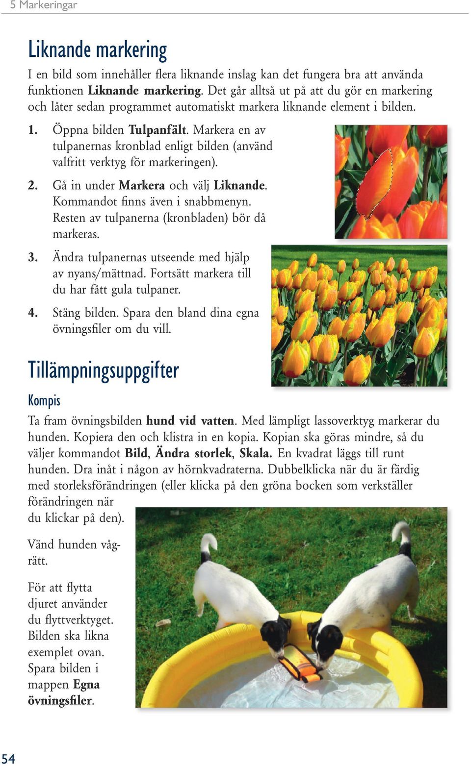 Markera en av tulpanernas kronblad enligt bilden (använd valfritt verktyg för markeringen). 2. Gå in under Markera och välj Liknande. Kommandot finns även i snabbmenyn.