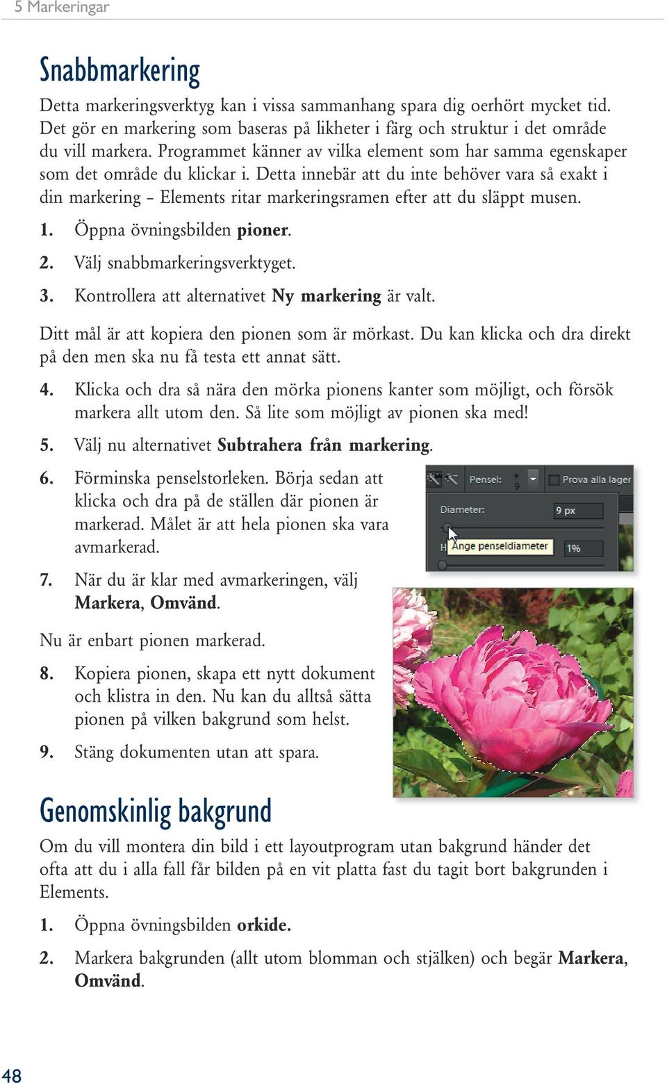 Detta innebär att du inte behöver vara så exakt i din markering Elements ritar markeringsramen efter att du släppt musen. 1. Öppna övningsbilden pioner. 2. Välj snabbmarkeringsverktyget. 3.