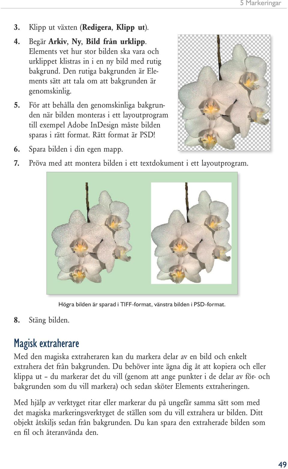 För att behålla den genomskinliga bakgrunden när bilden monteras i ett layoutprogram till exempel Adobe InDesign måste bilden sparas i rätt format. Rätt format är PSD! 6. Spara bilden i din egen mapp.