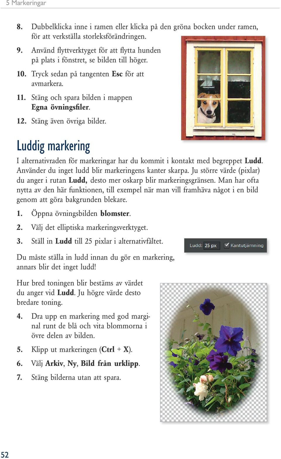 Stäng även övriga bilder. Luddig markering I alternativraden för markeringar har du kommit i kontakt med begreppet Ludd. Använder du inget ludd blir markeringens kanter skarpa.