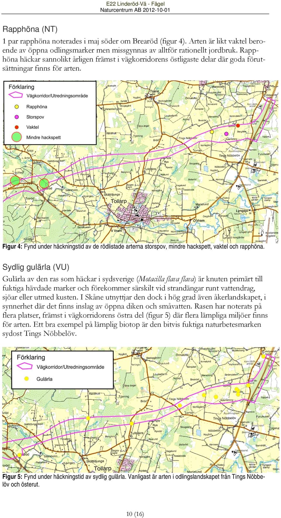 Figur 4: Fynd under häckningstid av de rödlistade arterna storspov, mindre hackspett, vaktel och rapphöna.