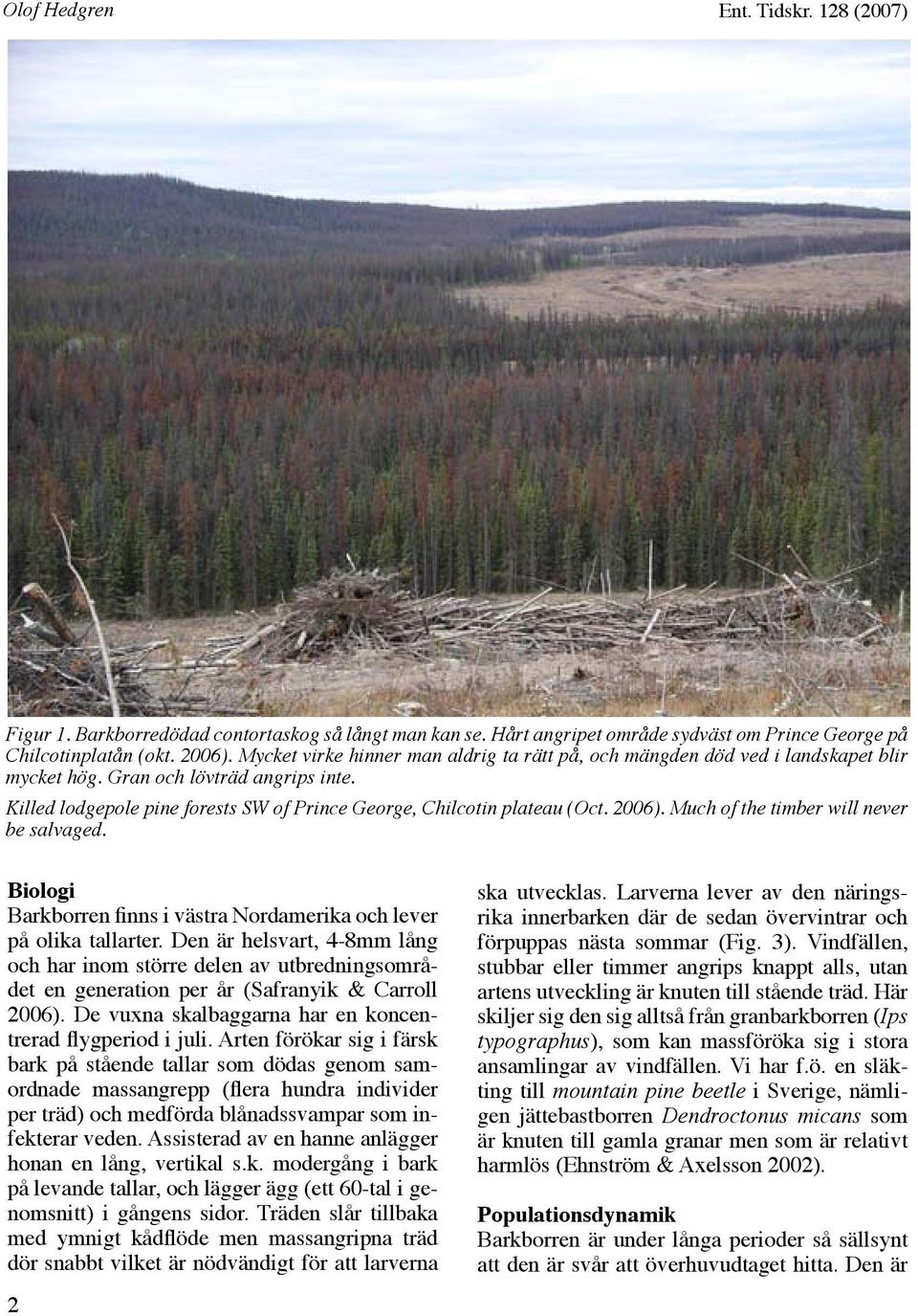 2006). Much of the timber will never be salvaged. Biologi Barkborren finns i västra Nordamerika och lever på olika tallarter.