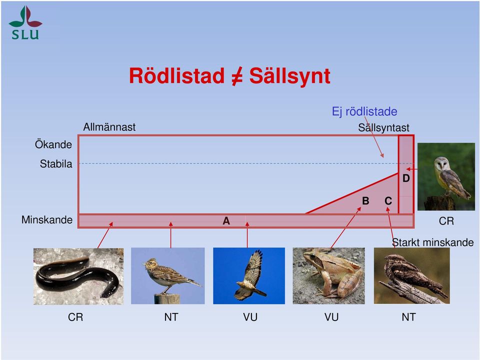 rödlistade Sällsyntast D B C