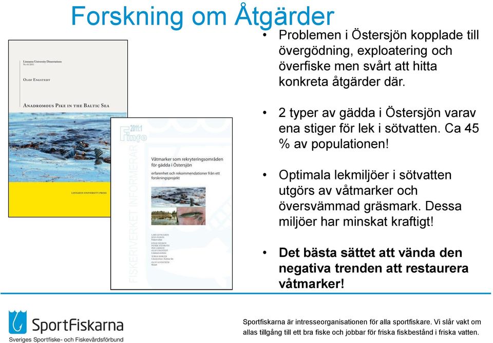 Ca 45 % av populationen! Optimala lekmiljöer i sötvatten utgörs av våtmarker och översvämmad gräsmark.