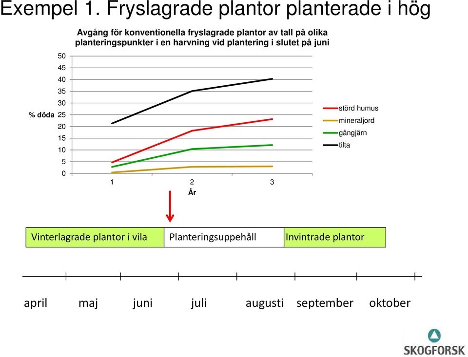 plantor av tall på olika planteringspunkter i en harvning vid plantering i slutet på juni %