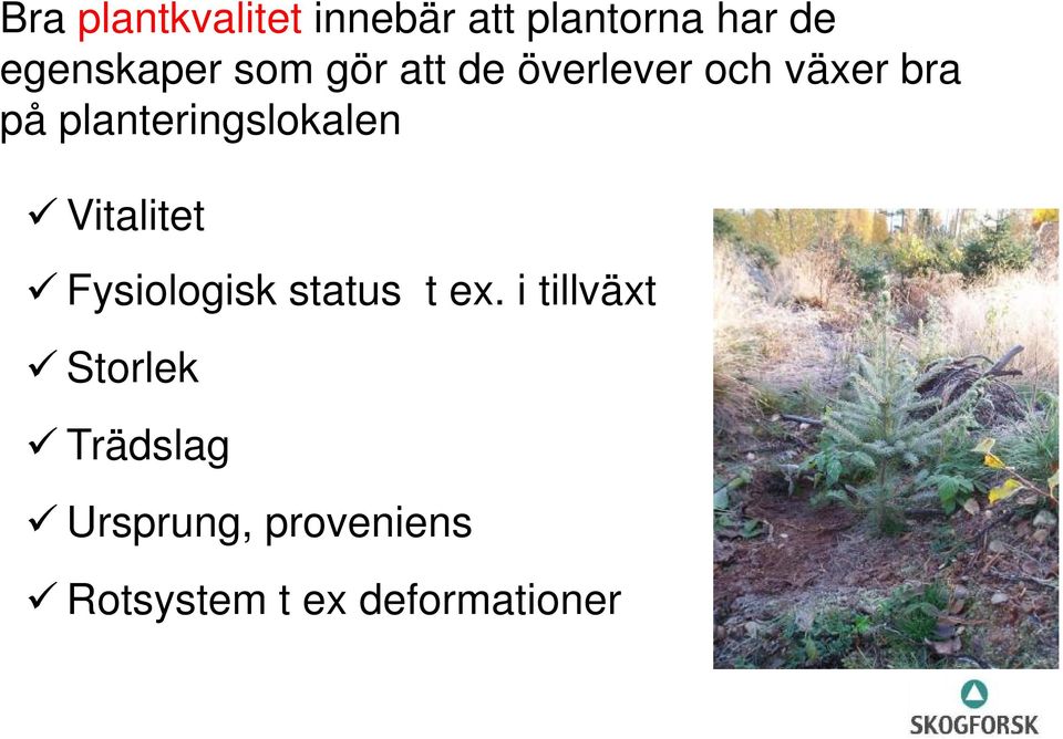 planteringslokalen Vitalitet Fysiologisk status t ex.
