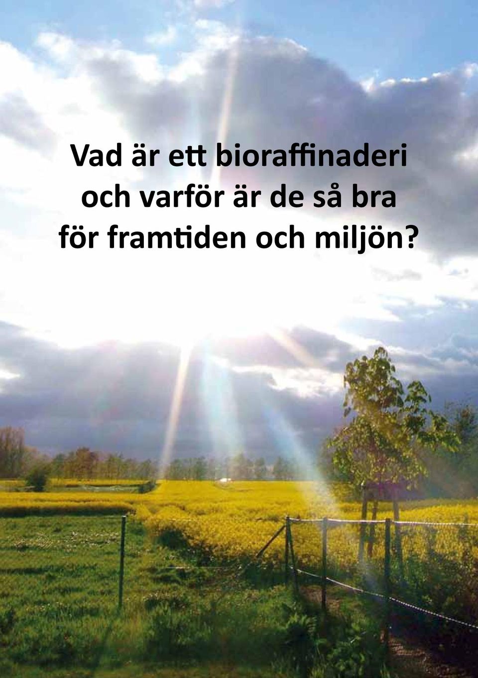 varför är de så