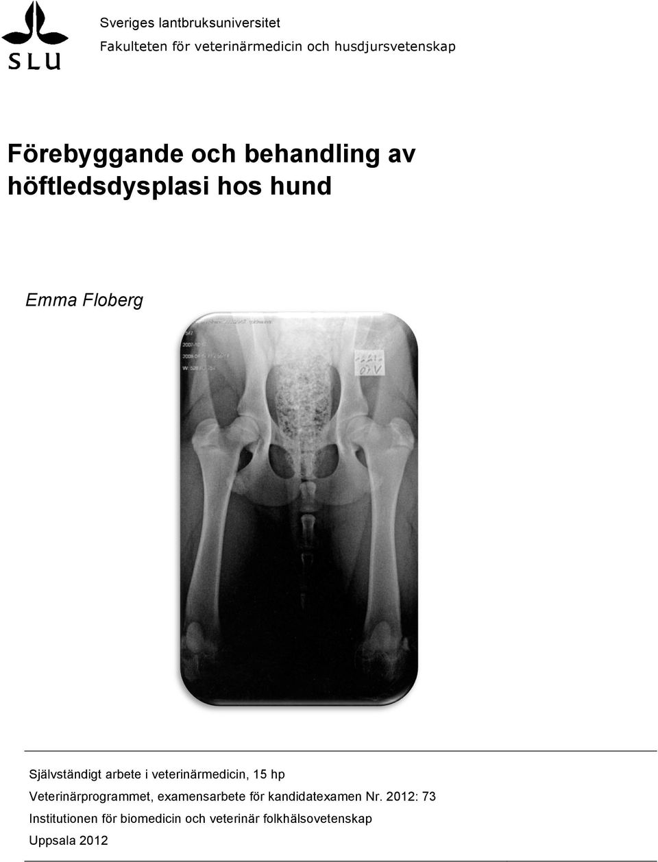 arbete i veterinärmedicin, 15 hp Veterinärprogrammet, examensarbete för