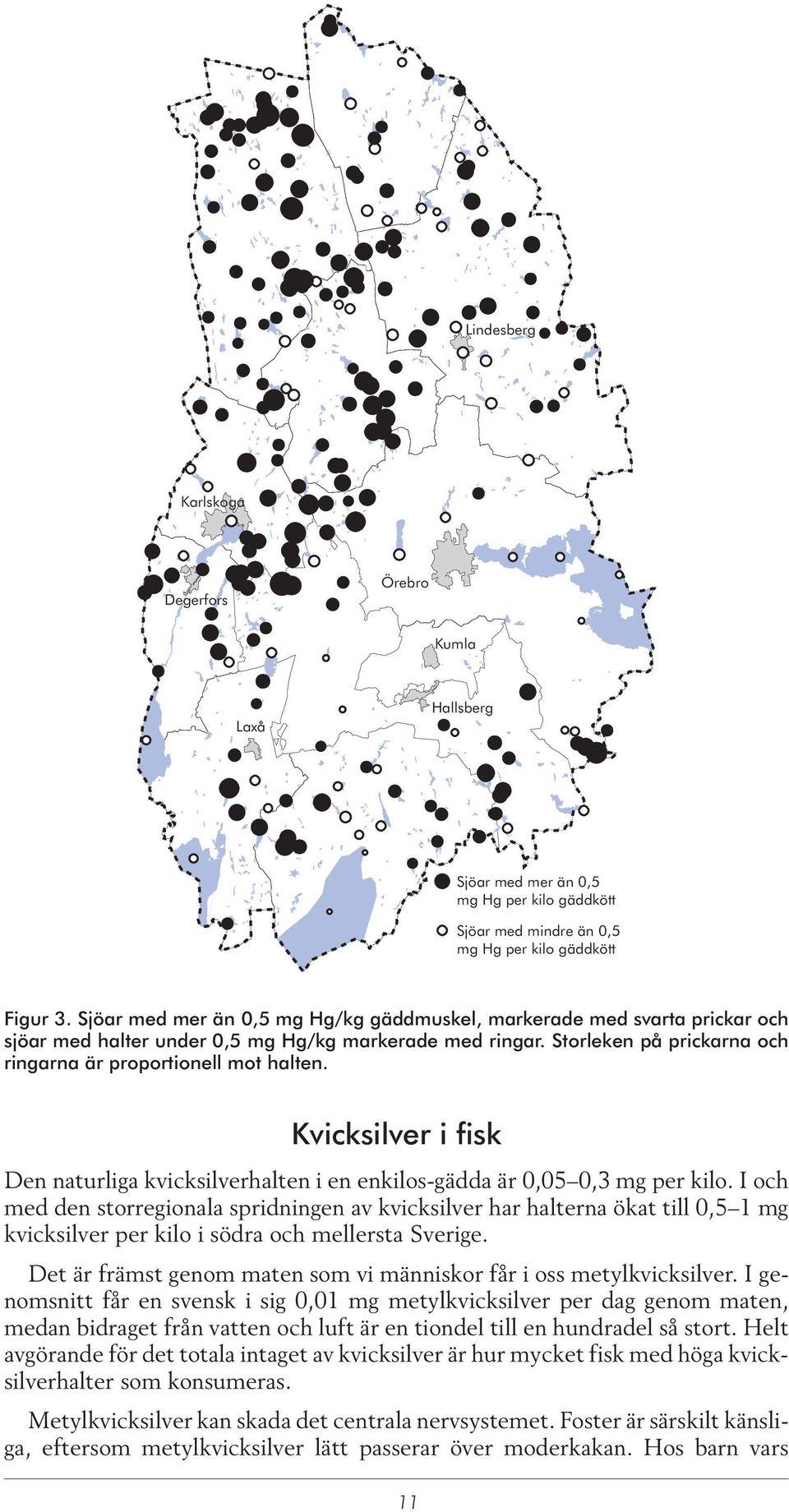 Kvicksilver i fisk Den naturliga kvicksilverhalten i en enkilos-gädda är 0,05 0,3 mg per kilo.