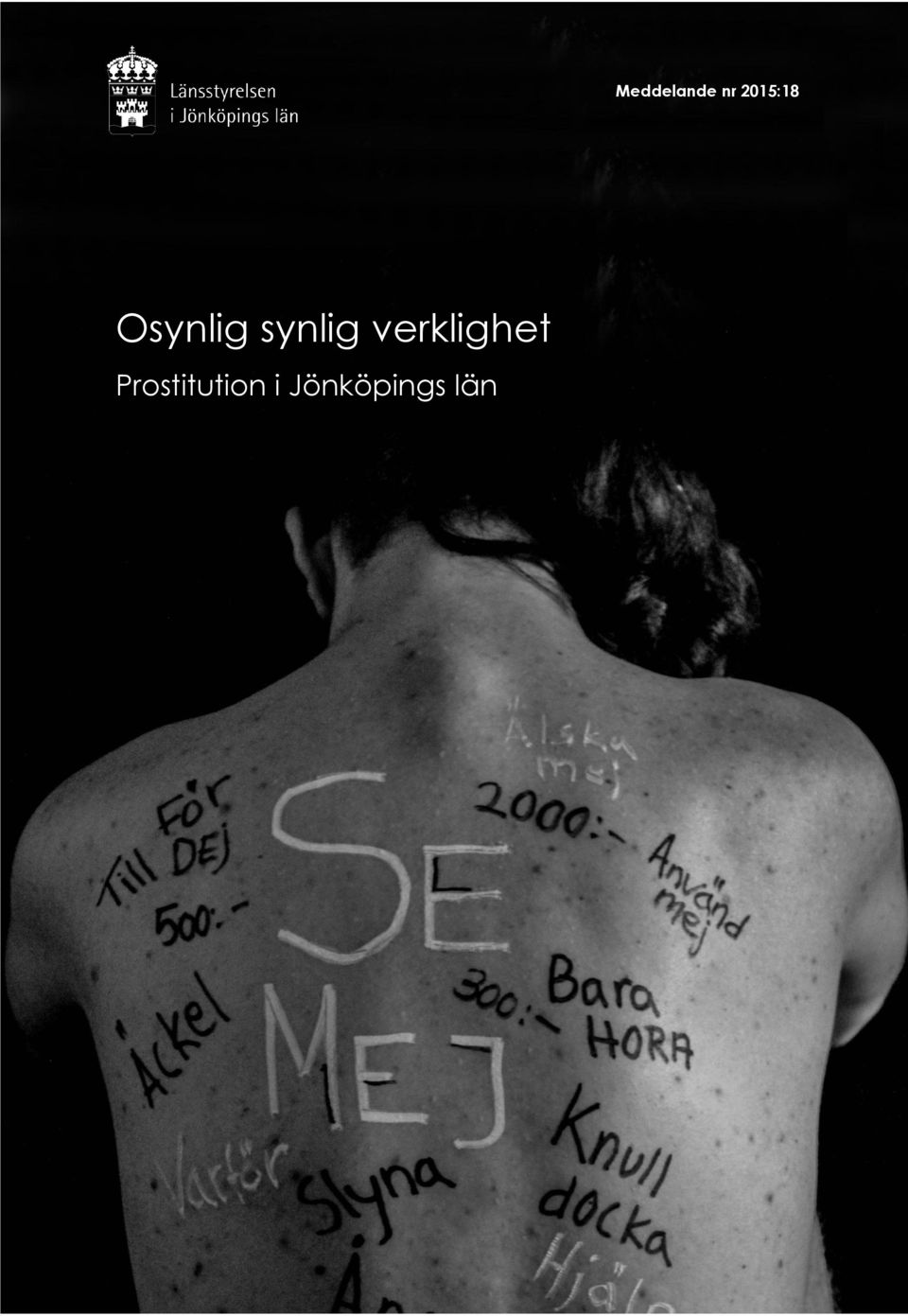 synlig verklighet