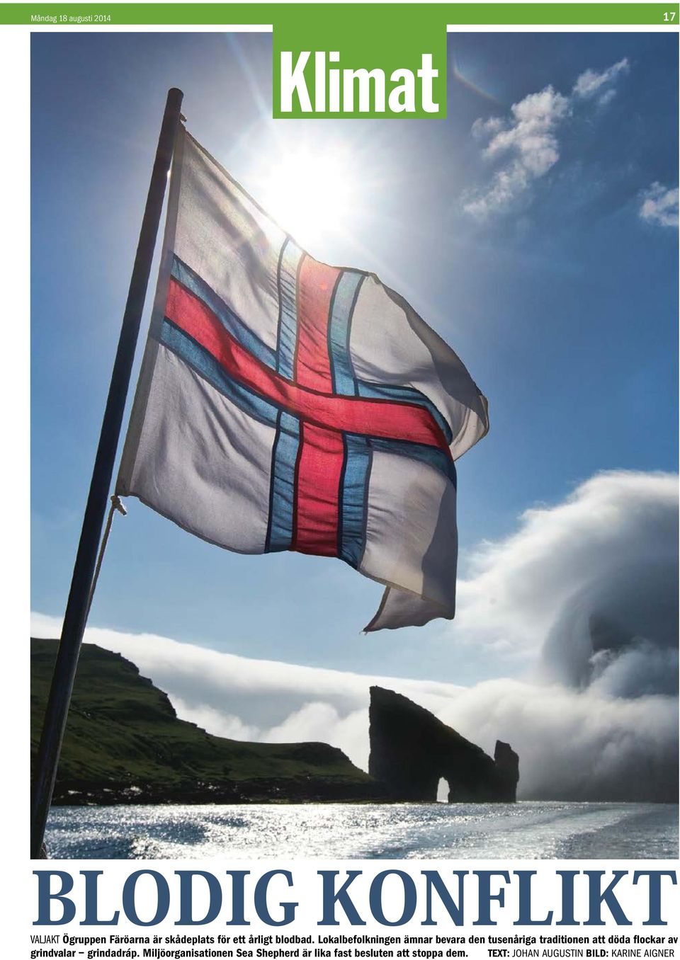 Lokalbefolkningen ämnar bevara den tusenåriga traditionen att döda flockar av