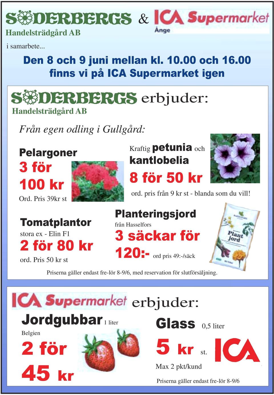 Pris 39kr st Tomatplantor stora ex - Elin F1 2 för 80 kr ord. Pris 50 kr st Kraftig petunia och kantlobelia 8 för 50 kr ord.