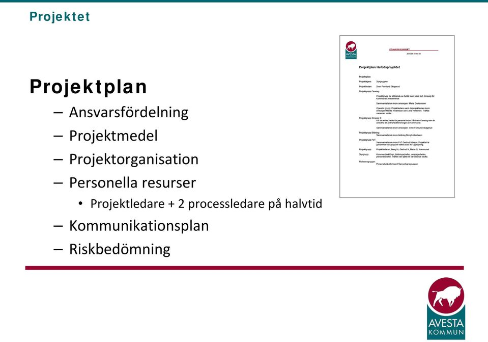 Personella resurser Projektledare + 2