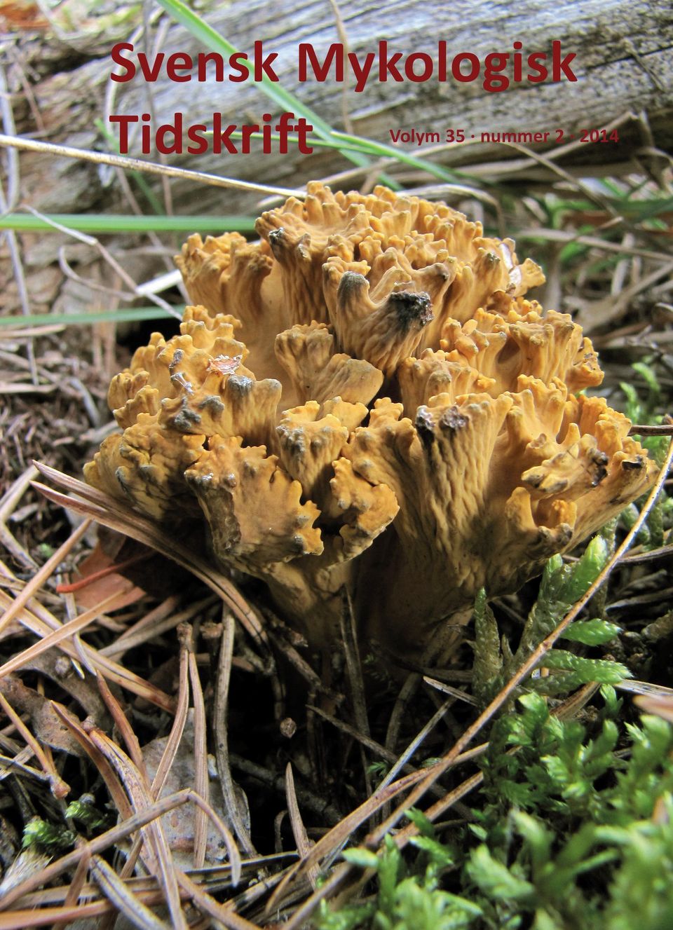 Tidskrift