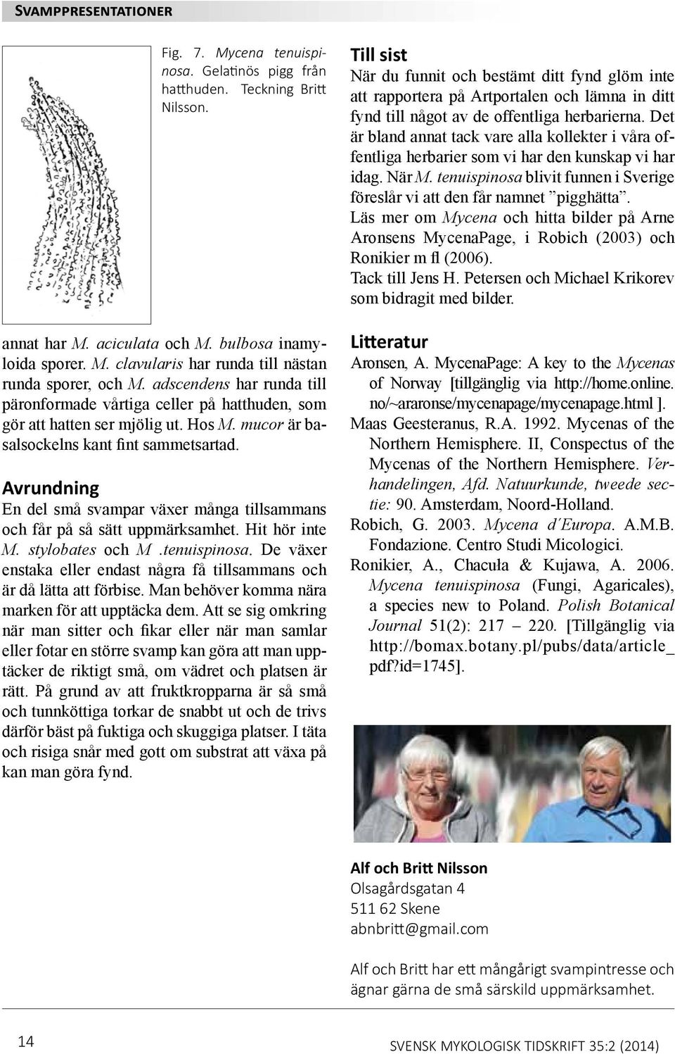 Avrundning En del små svampar växer många tillsammans och får på så sätt uppmärksamhet. Hit hör inte M. stylobates och M.tenuispinosa.