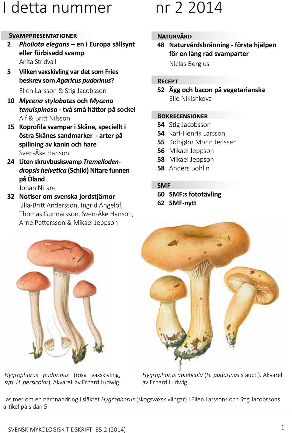 spillning av kanin och hare Sven-Åke Hanson 24 Liten skruvbusksvamp Tremellodendropsis helvetica (Schild) Nitare funnen på Öland Johan Nitare 32 Notiser om svenska jordstjärnor Ulla-Britt Andersson,