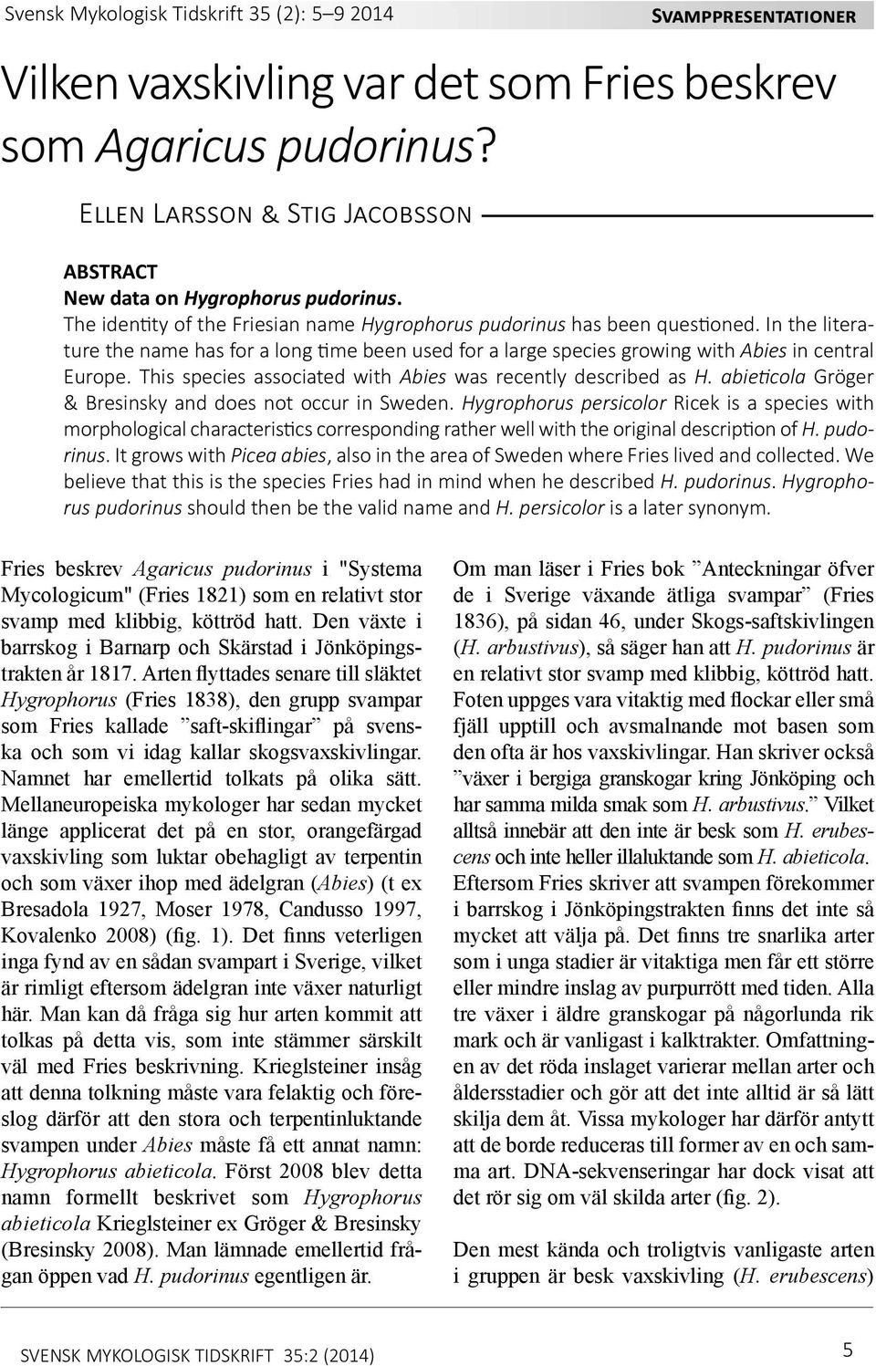 In the literature the name has for a long time been used for a large species growing with Abies in central Europe. This species associated with Abies was recently described as H.